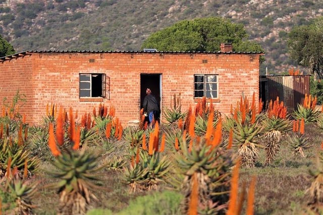 The Eastern Cape Wild Aloe Tour from Port Elizabeth - FD14 - Photo 1 of 15